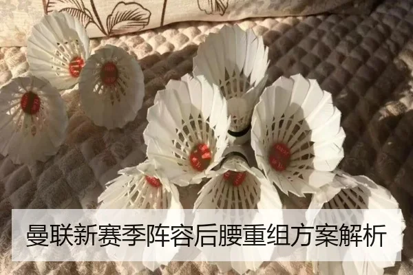 曼联新赛季阵容后腰重组方案解析