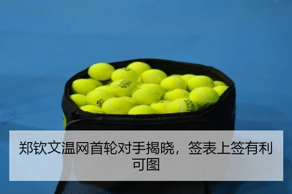 郑钦文温网首轮对手揭晓，签表上签有利可图 - hth